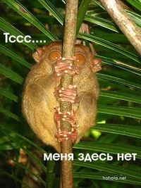 5a783c4cc107.webp