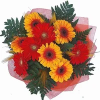 герберы.webp герберы.webp