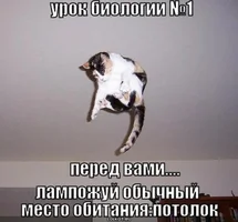 337479.webp 337479.webp