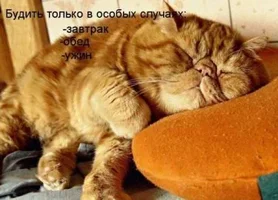 457532_440668.webp 457532_440668.webp