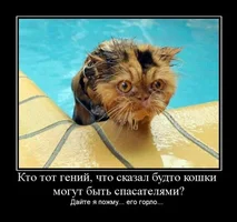 458644_442772.webp 458644_442772.webp