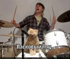 laskovyy-myau_1277300136.webp laskovyy-myau_1277300136.webp