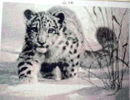 Скриншот 09-07-2018 204113.webp Скриншот 09-07-2018 204113.webp