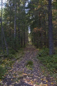 DSC_0219.webp DSC_0219.webp