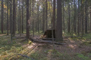 DSC_0175.webp DSC_0175.webp