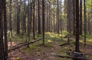 DSC_0184.webp DSC_0184.webp