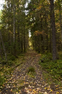 DSC_0220.webp DSC_0220.webp