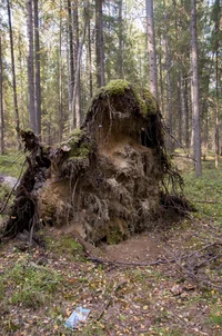 DSC_0243.webp DSC_0243.webp