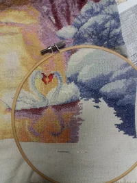 20181003_063404.webp 20181003_063404.webp