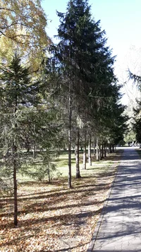 20181006_123001.webp 20181006_123001.webp