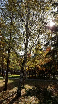 20181006_123929.webp 20181006_123929.webp