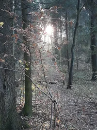 20181018_085413.webp 20181018_085413.webp