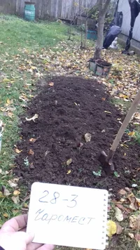 IMG-20181027-WA0030.webp IMG-20181027-WA0030.webp