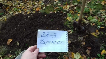 IMG-20181027-WA0028.webp IMG-20181027-WA0028.webp