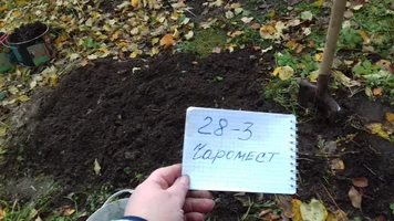 IMG-20181027-WA0026.webp IMG-20181027-WA0026.webp