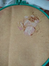 IMG_20180624_130200.webp IMG_20180624_130200.webp