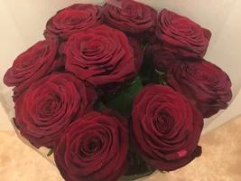 image.webp image.webp