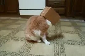 Без названия (1).webp