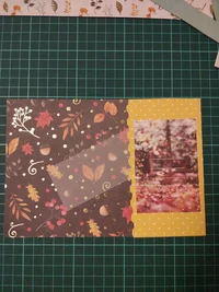 IMG_20181127_223003.webp IMG_20181127_223003.webp