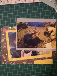 IMG_20181127_223026.webp IMG_20181127_223026.webp