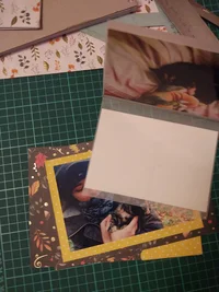 IMG_20181127_223034.webp IMG_20181127_223034.webp