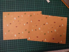 IMG_20181127_224205.webp IMG_20181127_224205.webp