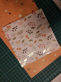 IMG_20181127_223141.webp IMG_20181127_223141.webp