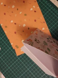 IMG_20181127_223159.webp IMG_20181127_223159.webp