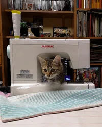 IMG_20181129_170658.webp IMG_20181129_170658.webp