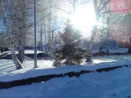 IMG_20181201_133419.webp IMG_20181201_133419.webp