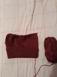 20181202_074409.webp 20181202_074409.webp