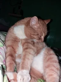 20181211_002223.webp 20181211_002223.webp