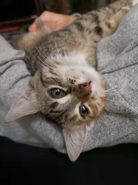 IMG_20181218_204031.webp IMG_20181218_204031.webp