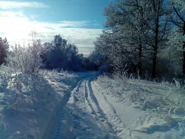 IMG_20190101_150049.webp IMG_20190101_150049.webp