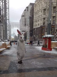 49307584_992705864258903_4568319789474250752_n.webp 49307584_992705864258903_4568319789474250752_n.webp