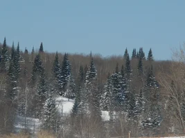 P3301203.webp P3301203.webp