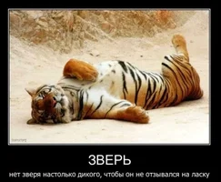 getImaррррррррge.webp getImaррррррррge.webp