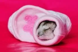 images (2).webp images (2).webp