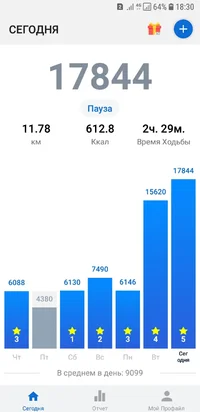 Screenshot_20190130-183024_Pedometer - Step Counter.webp