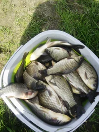 2018-05-17 12-58-45.webp