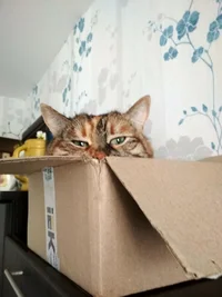 IMG_20190202_124714_HDR.webp IMG_20190202_124714_HDR.webp