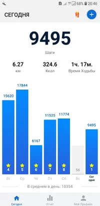 Screenshot_20190204-204659_Pedometer - Step Counter.webp
