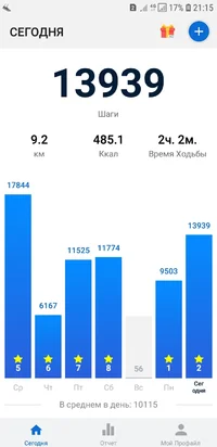 Screenshot_20190205-211557_Pedometer - Step Counter.webp