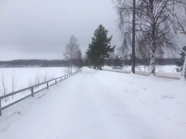 Дорога Тайпал.webp