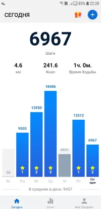 Screenshot_20190209-222837_Pedometer - Step Counter.webp