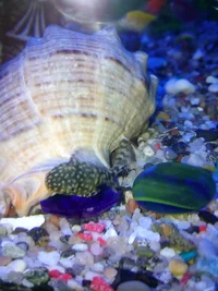 IMG_20190208_173230.webp