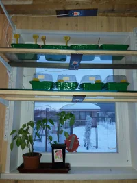 20190210_170242.webp 20190210_170242.webp