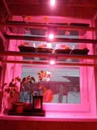 20190210_170150.webp 20190210_170150.webp