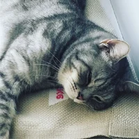 ричард.webp ричард.webp