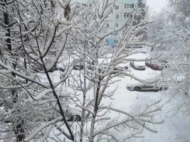 IMG_20190213_084437.webp IMG_20190213_084437.webp